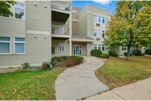 8206 Starr Grass Dr in Madison, WI - Building Photo