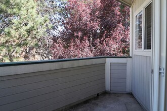 2659 Sycamore Glen Dr in Sparks, NV - Building Photo - Building Photo