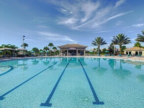 1003 Splash Shot Pl in Davenport, FL - Building Photo - Building Photo