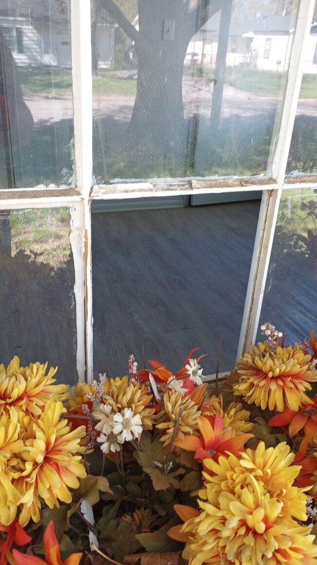 1504 Edgewood Dr in Danville, IL - Building Photo - Building Photo