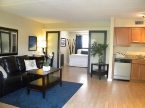 Urban Oasis in Tampa, FL - Building Photo - Building Photo