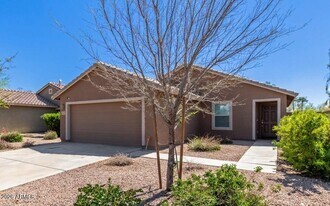 11005 E Verbina Ln in Florence, AZ - Building Photo