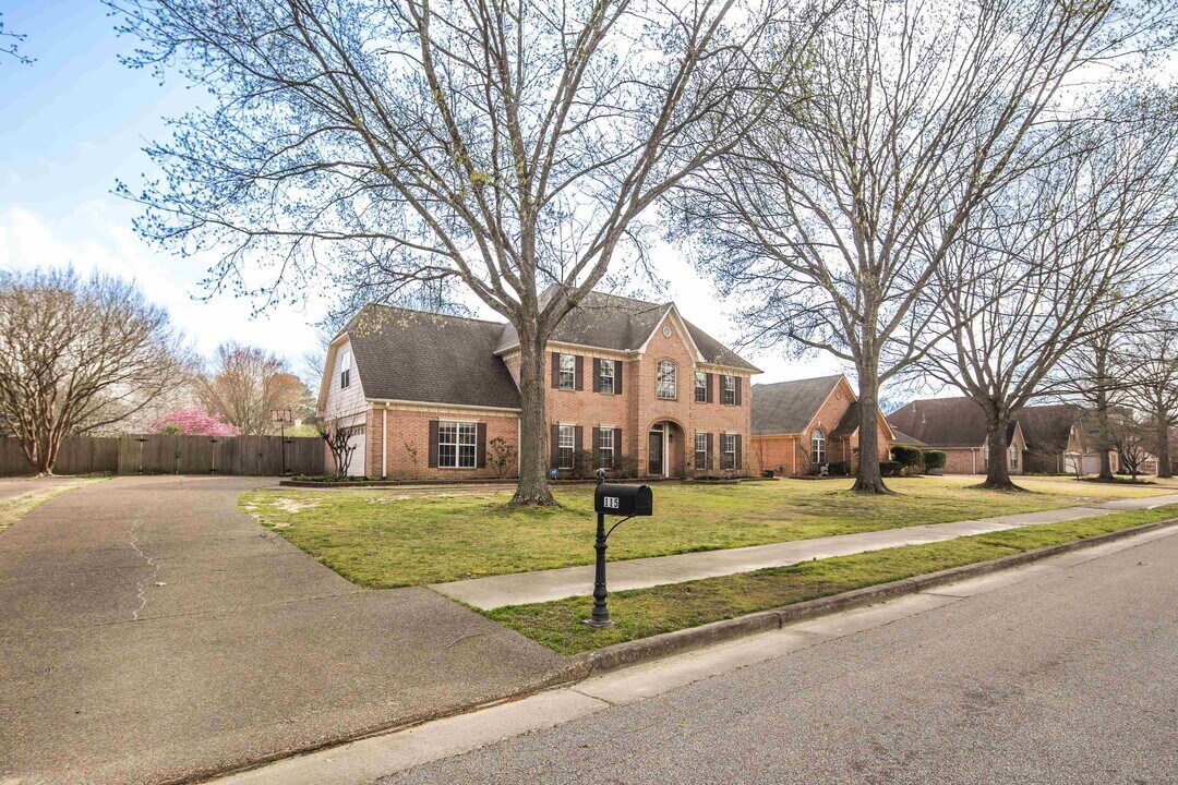 115 Cottonwood Dr in Collierville, TN - Building Photo