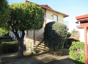 2149 Mount Diablo St, Unit 4 in Concord, CA - Building Photo