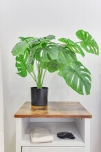 1255 Raum St NE, Unit SI ID1388285P in Washington, DC - Building Photo - Building Photo