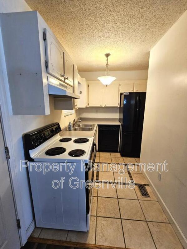 107 Fowler St in Fountain Inn, SC - Building Photo - Building Photo