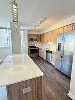 1511 S Laflin St in Chicago, IL - Building Photo