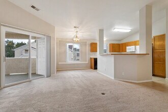 3730 Strawberry Field Grove in Colorado Springs, CO - Building Photo - Building Photo