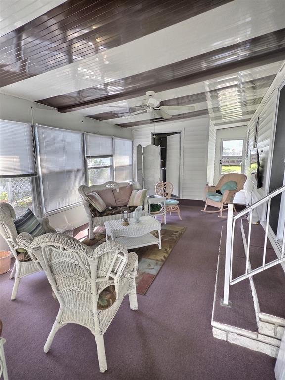 46 E Palm Forest Dr in Largo, FL - Building Photo - Building Photo