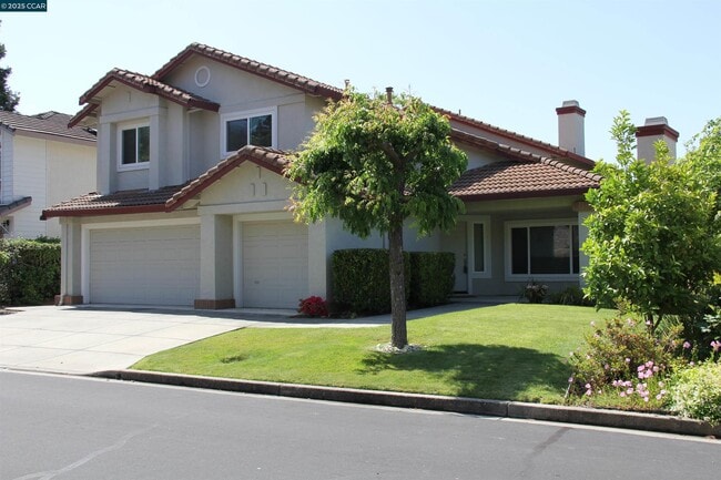 property at 338 Newcastle Ln
