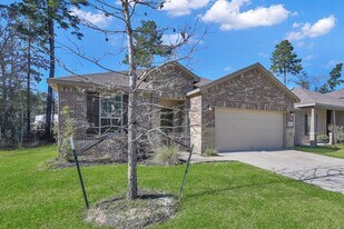 4340 S Amber Ruse Ct in Panorama Village, TX - Building Photo