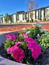 Buenas On Indian School Apartments in Phoenix, AZ - Building Photo - Building Photo