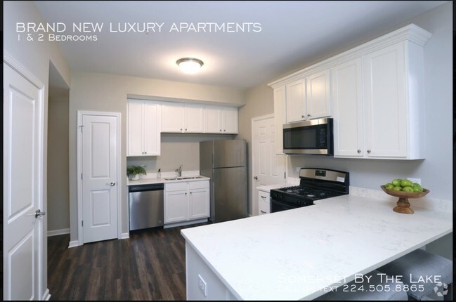 60 W Main St-Unit -221 in Lake Zurich, IL - Building Photo - Building Photo