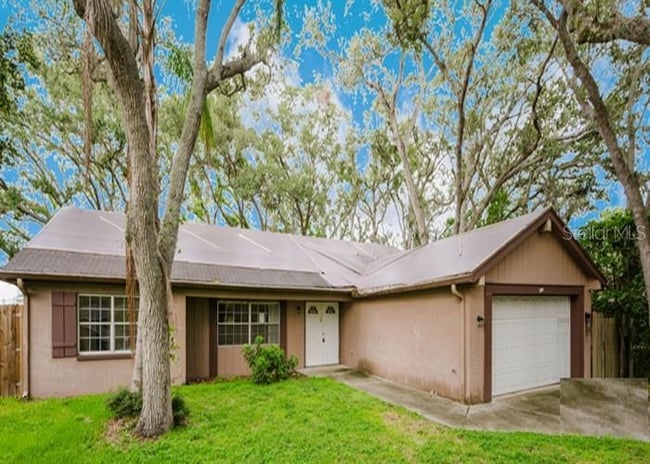 1243 Royal Oak Dr S in Dunedin, FL - Foto de edificio - Building Photo