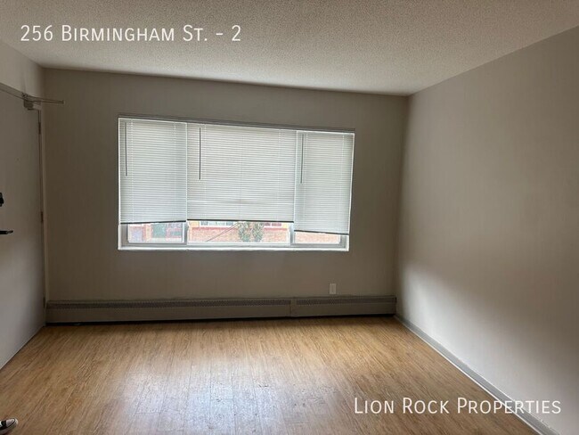 256 Birmingham St in St. Paul, MN - Building Photo - Building Photo