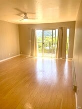 20 Luna Ln in San Anselmo, CA - Building Photo - Building Photo
