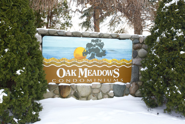 Oak Meadows in Ann Arbor, MI - Building Photo - Building Photo