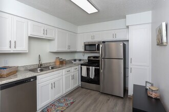 The Place at Briarcrest in Carrollton, TX - Foto de edificio - Interior Photo