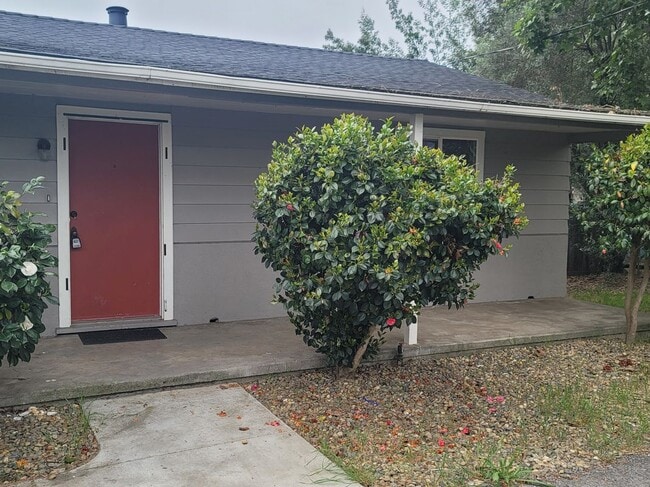 380 Yolanda Ave in Santa Rosa, CA - Building Photo - Building Photo
