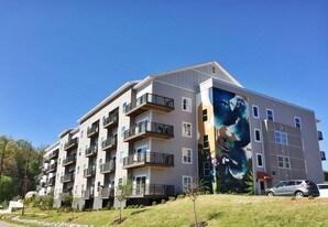 Downtown Asheville Apartments For Rent Nc River Mill Lofts 500 Off 1st And 2nd Month Apartments