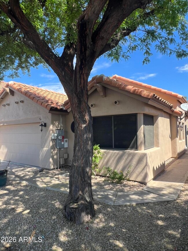 property at 3534 E Verbena Dr