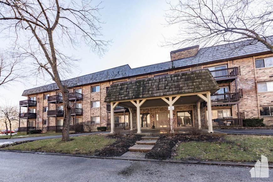 245 E Main St in Lake Zurich, IL - Building Photo