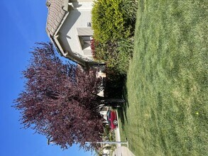 10421 Danichris Way in Elk Grove, CA - Foto de edificio - Building Photo