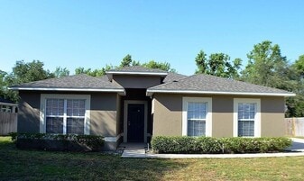 1017 Tawny Eagle Dr in Groveland, FL - Building Photo