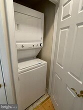 550 Hobart Pl NW in Washington, DC - Building Photo - Building Photo