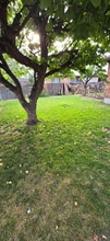 373 N 400 E St in Lehi, UT - Building Photo - Building Photo