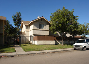 391-419 Sycamore Rd in San Ysidro, CA - Building Photo - Building Photo