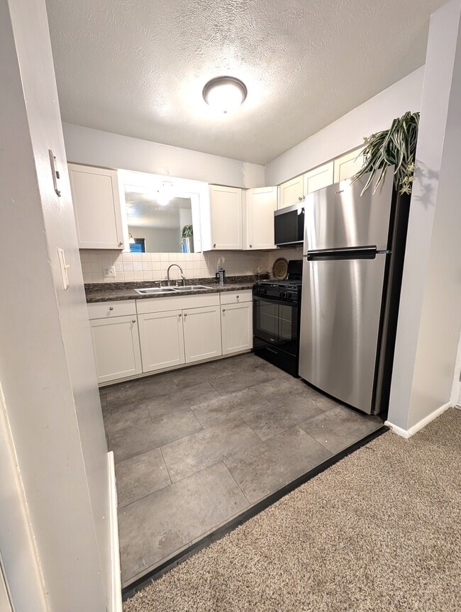 501 S Francis St in Kent, OH - Building Photo - Building Photo