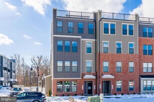 44592 Strabane Ter in Ashburn, VA - Building Photo