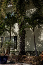3001 W. Horatio in Tampa, FL - Foto de edificio - Building Photo