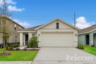 12177 Downy Birch Dr in Riverview, FL - Building Photo