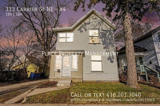 property at 313 Carrier St NE
