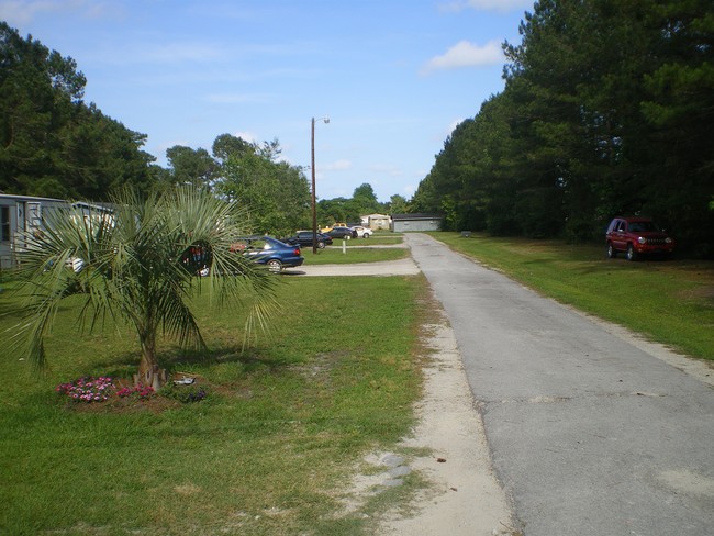 5955 Burgaw Hwy in Maple Hill, NC - Building Photo - Building Photo