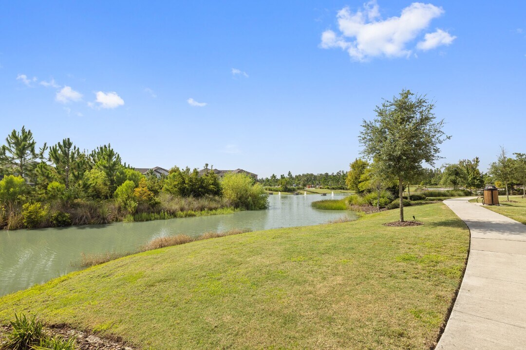 4547 Ancona Way in Wesley Chapel, FL - Building Photo