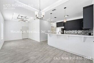 4725 Mulberry Ave in McAllen, TX - Building Photo - Building Photo