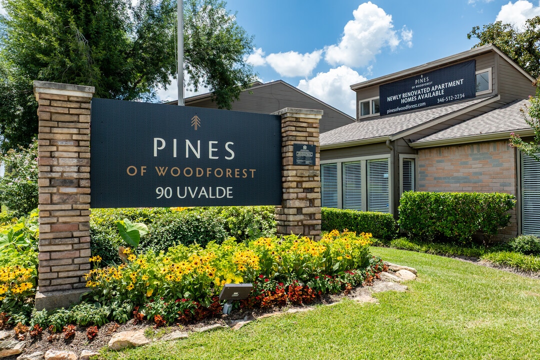 Pines of Woodforest in Houston, TX - Building Photo
