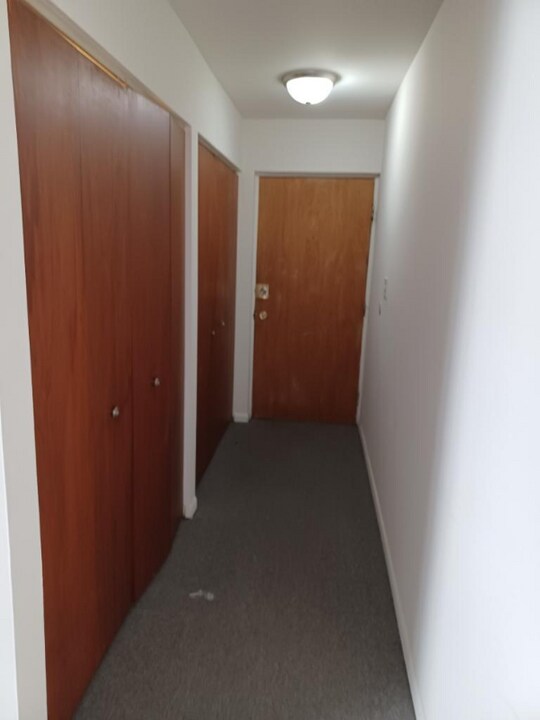 320 N Austin Blvd in Oak Park, IL - Building Photo