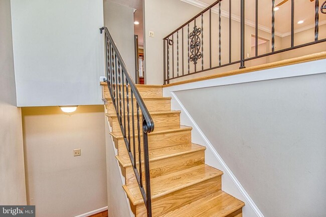 402 Holloway Ct NE in Vienna, VA - Building Photo - Building Photo