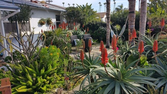 1616 S Tremont St in Oceanside, CA - Building Photo - Building Photo