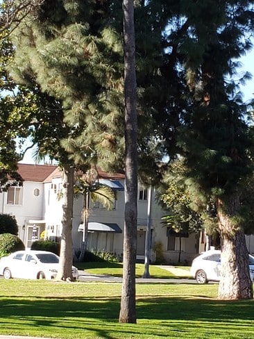 305 N Palm Ave, Unit A in Alhambra, CA - Building Photo - Building Photo