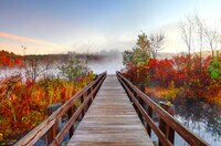 Alquileres en West Roxbury, MA