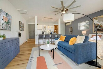 705 NW J St in Bentonville, AR - Building Photo - Building Photo