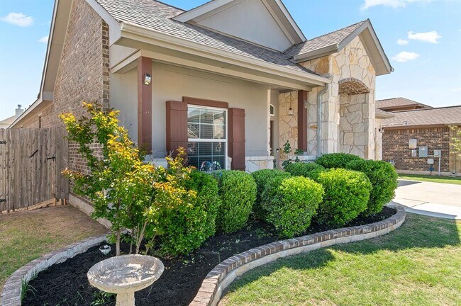 8017 Bassano Dr in Round Rock, TX - Building Photo - Building Photo