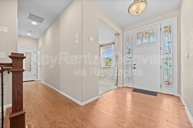 6420 Agave Ave in Castle Rock, CO - Building Photo - Building Photo