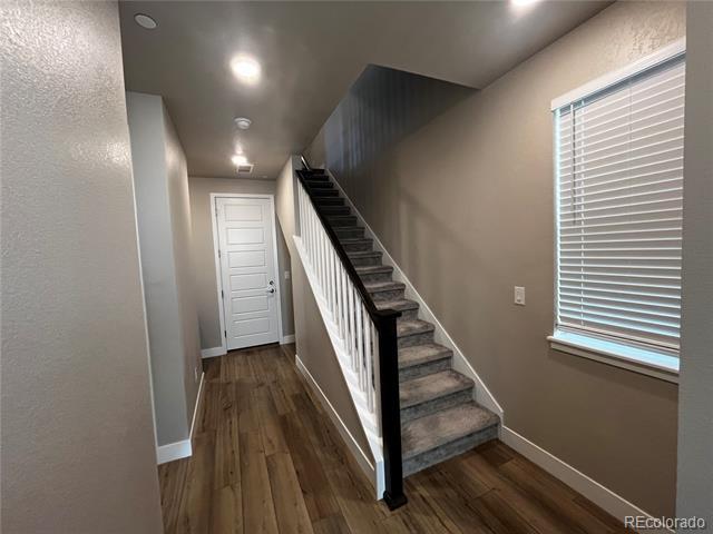 1783 W 166th Ln in Broomfield, CO - Building Photo - Building Photo