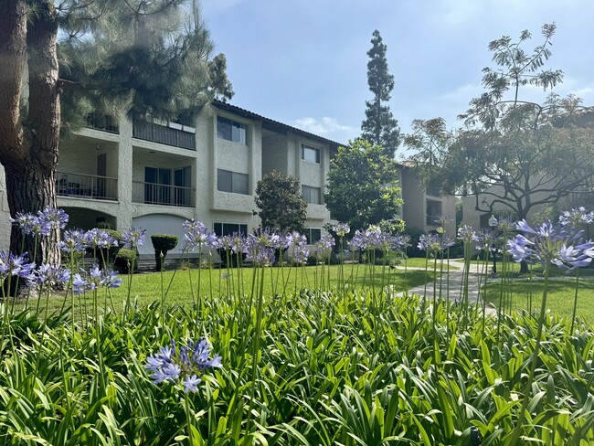 10797 San Diego Mission Rd in San Diego, CA - Foto de edificio - Building Photo